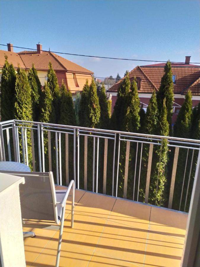 Hotel Zala Aranya Panzio Zalakaros Exteriér fotografie